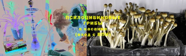 гашик Козловка