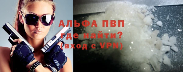 гашик Козловка