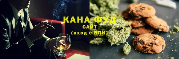 гашик Козловка