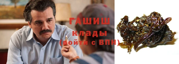 гашик Козловка