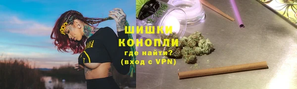 гашик Козловка