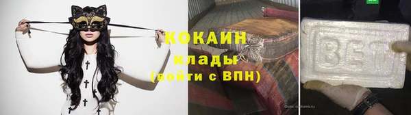 гашик Козловка