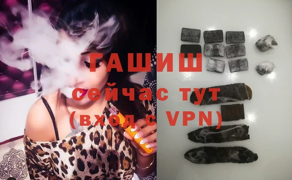 гашик Козловка
