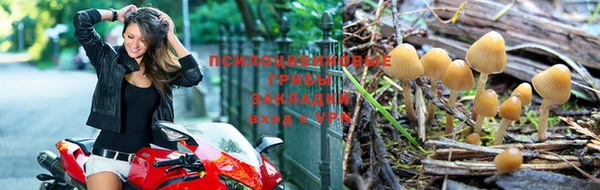 mdma Кодинск