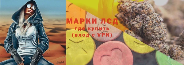 гашик Козловка