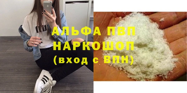гашик Козловка