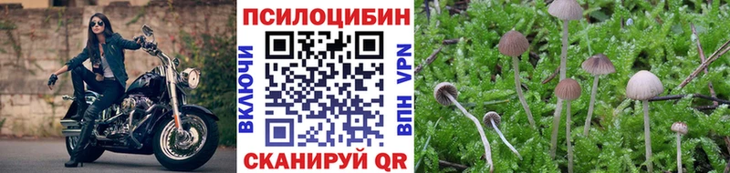 Галлюциногенные грибы Cubensis  Купить  Балашов 