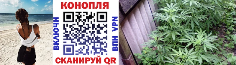 Купить  Балашов  Канабис VHQ 